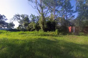 15106 Dusky Warbler Rd, Weeki Wachee, FL 34614 - Photo 27