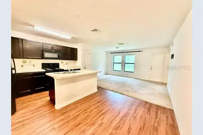 707 W Chelsea Street, Deland, FL 32720 - Photo 7