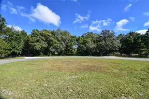 Tree Frog Lot 6 Ln, Eustis, FL 32736 - Photo 5