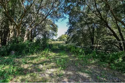 Tree Frog Lot 6 Lane, Eustis, FL 32736 - Photo 13