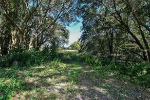 Tree Frog Lot 6 Ln, Eustis, FL 32736 - Photo 13