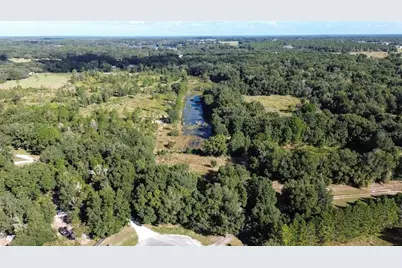 Tree Frog Lot 6 Lane, Eustis, FL 32736 - Photo 15