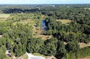 Tree Frog Lot 6 Ln, Eustis, FL 32736 - Photo 15