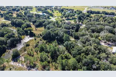 Tree Frog Lot 6 Lane, Eustis, FL 32736 - Photo 11