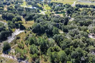 Tree Frog Lot 6 Ln, Eustis, FL 32736 - Photo 11