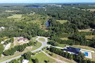 Tree Frog Lot 6 Ln, Eustis, FL 32736 - Photo 1