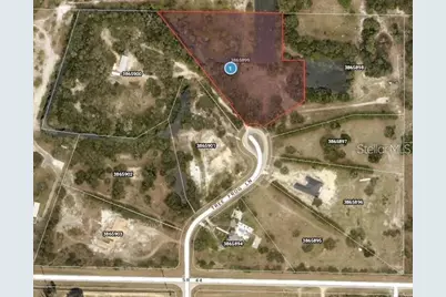 Tree Frog Lot 6 Lane, Eustis, FL 32736 - Photo 19