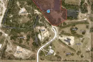 Tree Frog Lot 6 Ln, Eustis, FL 32736 - Photo 19