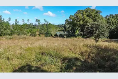 Tree Frog Lot 6 Lane, Eustis, FL 32736 - Photo 17