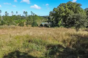 Tree Frog Lot 6 Ln, Eustis, FL 32736 - Photo 17