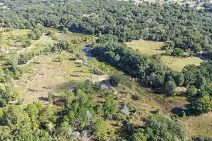 Tree Frog Lot 6 Ln, Eustis, FL 32736 - Photo 9