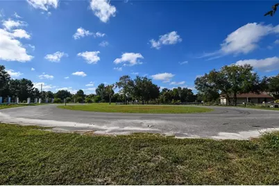Tree Frog Lot 6 Lane, Eustis, FL 32736 - Photo 7