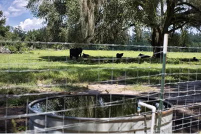 21595 160th Street, Live Oak, FL 32060 - Photo 45