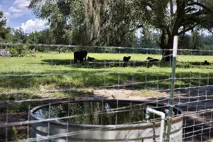 21595 160th St, Live Oak, FL 32060 - Photo 45