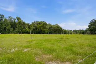 2259 Brownlee Rd, Seville, FL 32190 - Photo 57