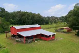 2259 Brownlee Rd, Seville, FL 32190 - Photo 49