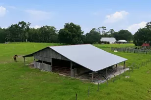 2259 Brownlee Rd, Seville, FL 32190 - Photo 53