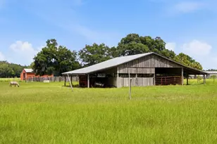 2259 Brownlee Rd, Seville, FL 32190 - Photo 55