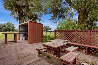 2259 Brownlee Road, Seville, FL 32190 - Photo 41