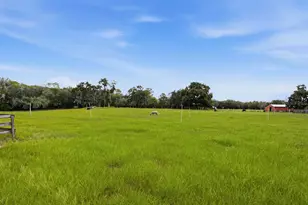 2259 Brownlee Rd, Seville, FL 32190 - Photo 55