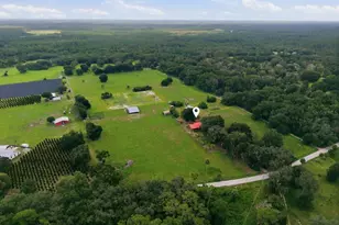 2259 Brownlee Rd, Seville, FL 32190 - Photo 57