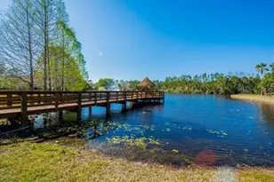 12 Meadow Ridge View, Ormond Beach, FL 32174 - Photo 55
