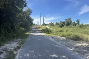 393 Walnut Ave, Orange City, FL 32763 - Photo 33