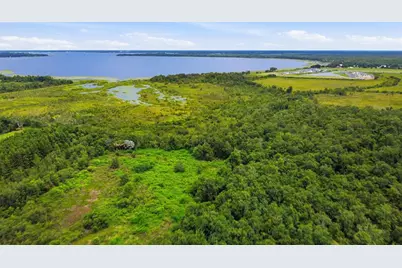 Hickory Tree Road, Saint Cloud, FL 34772 - Photo 5