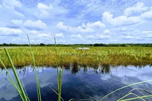 1830 Glenwood Oaks Ln, Deland, FL 32720 - Photo 49