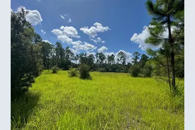 2750 Big John Drive, Deland, FL 32724 - Photo 1