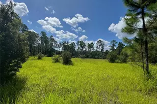 2750 Big John Dr, Deland, FL 32724 - Photo 1