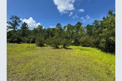 2750 Big John Drive, Deland, FL 32724 - Photo 5