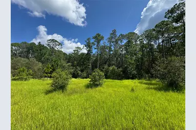 2750 Big John Drive, Deland, FL 32724 - Photo 9