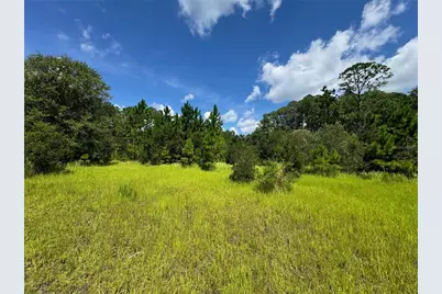 2750 Big John Drive, Deland, FL 32724 - Photo 7