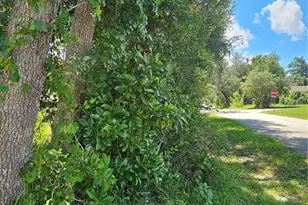 18th St, Orange City, FL 32763 - Photo 1