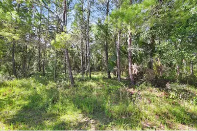 1964 S Farm Road, Deland, FL 32720 - Photo 1