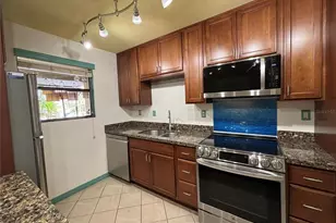 770 N Village Lake Terrace N, Saint Petersburg, FL 33716 - Photo 9