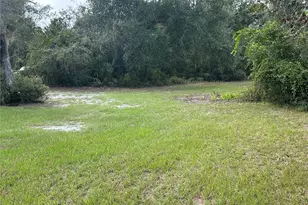 2229 Adelia Blvd, Deltona, FL 32725 - Photo 19