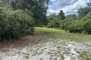 2229 Adelia Blvd, Deltona, FL 32725 - Photo 7