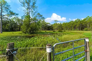 2131 W Poinsettia Dr, Port Orange, FL 32128 - Photo 43