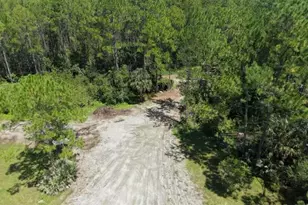 4666 Fir Rd, New Smyrna Beach, FL 32168 - Photo 37
