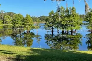 1210 Gem Ln, Lake Helen, FL 32744 - Photo 63