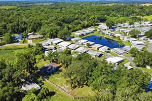 10345 N Haines Creek Rd, Leesburg, FL 34788 - Photo 37