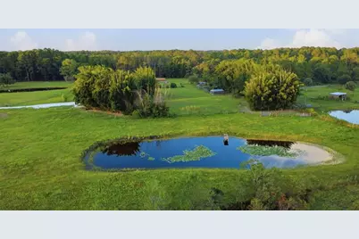 615 Deer Pond Road, Osteen, FL 32764 - Photo 3
