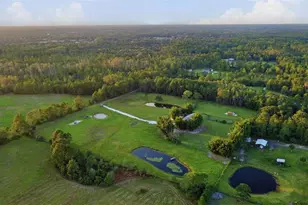 615 Deer Pond Rd, Osteen, FL 32764 - Photo 73