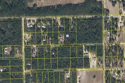 126 Cherry Drive, Pomona Park, FL 32181 - Photo 11