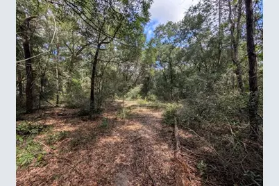 126 Cherry Drive, Pomona Park, FL 32181 - Photo 3