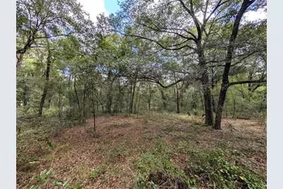 126 Cherry Drive, Pomona Park, FL 32181 - Photo 7