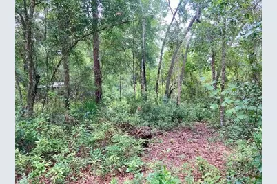 407 Raulerson Road, Seville, FL 32190 - Photo 1