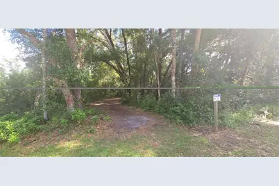 407 Raulerson Road, Seville, FL 32190 - Photo 5
